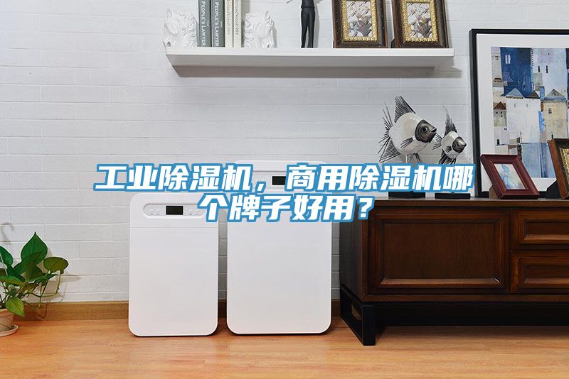 工業除濕機，商用除濕機哪個牌子好用？