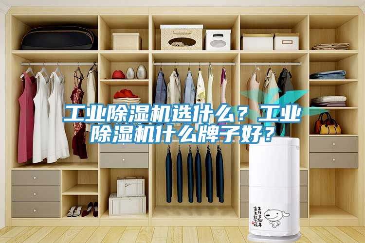 工業除濕機選什么？工業除濕機什么牌子好？