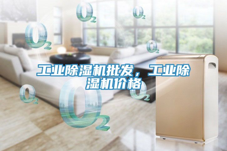 工業除濕機批發，工業除濕機價格
