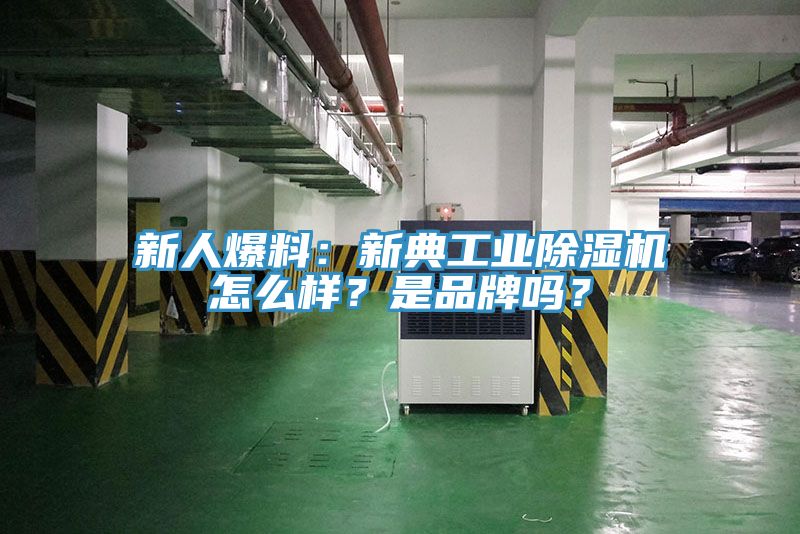 新人爆料：新典工業(yè)除濕機怎么樣？是品牌嗎？