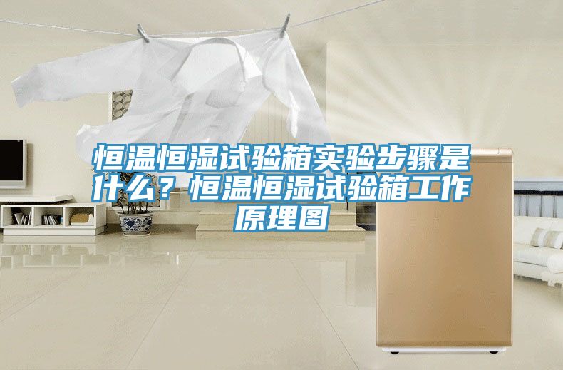 恒溫恒濕試驗箱實驗步驟是什么？恒溫恒濕試驗箱工作原理圖