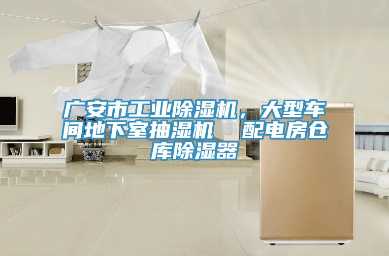 廣安市工業(yè)除濕機，大型車間地下室抽濕機  配電房倉庫除濕器