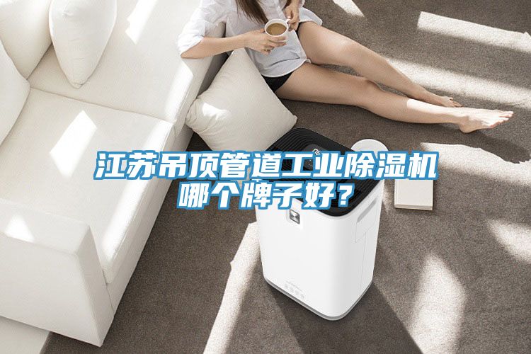 江蘇吊頂管道工業除濕機哪個牌子好？