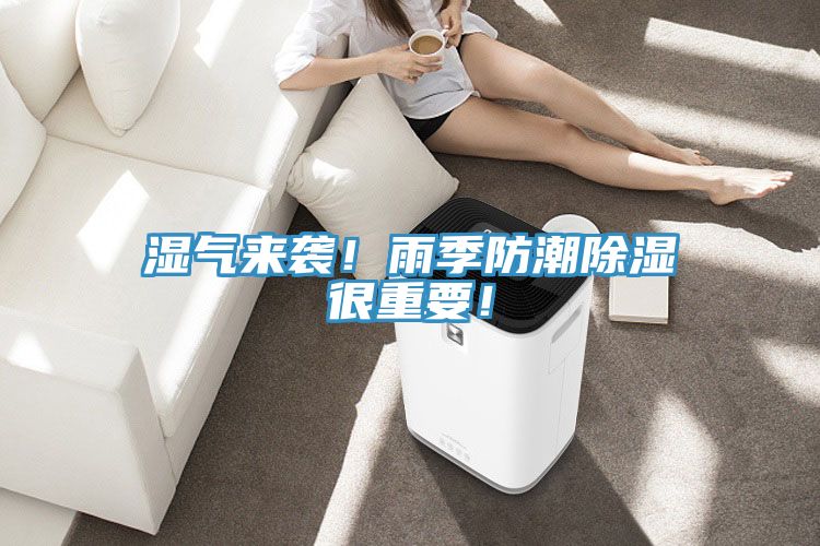 濕氣來(lái)襲！雨季防潮除濕很重要！