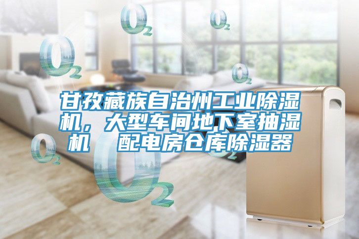 甘孜藏族自治州工業(yè)除濕機(jī)，大型車(chē)間地下室抽濕機(jī)  配電房倉(cāng)庫(kù)除濕器