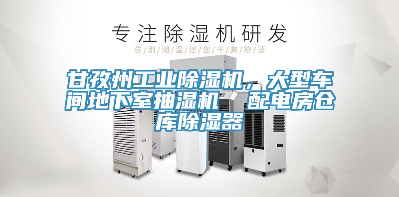 甘孜州工業(yè)除濕機(jī)，大型車(chē)間地下室抽濕機(jī)  配電房倉(cāng)庫(kù)除濕器