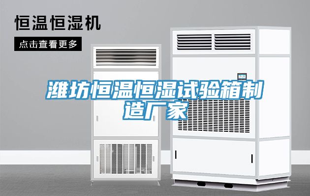 濰坊恒溫恒濕試驗(yàn)箱制造廠(chǎng)家
