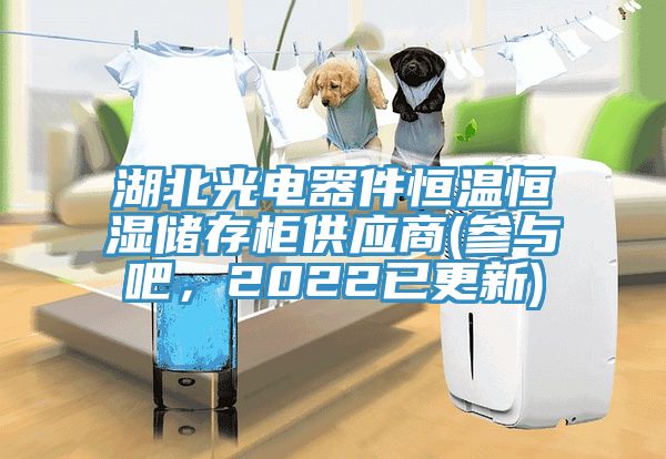 湖北光電器件恒溫恒濕儲存柜供應(yīng)商(參與吧，2022已更新)