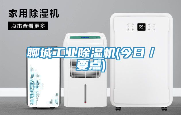 聊城工業(yè)除濕機(jī)(今日／要點)