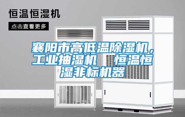 襄陽市高低溫除濕機，工業抽濕機  恒溫恒濕非標機器